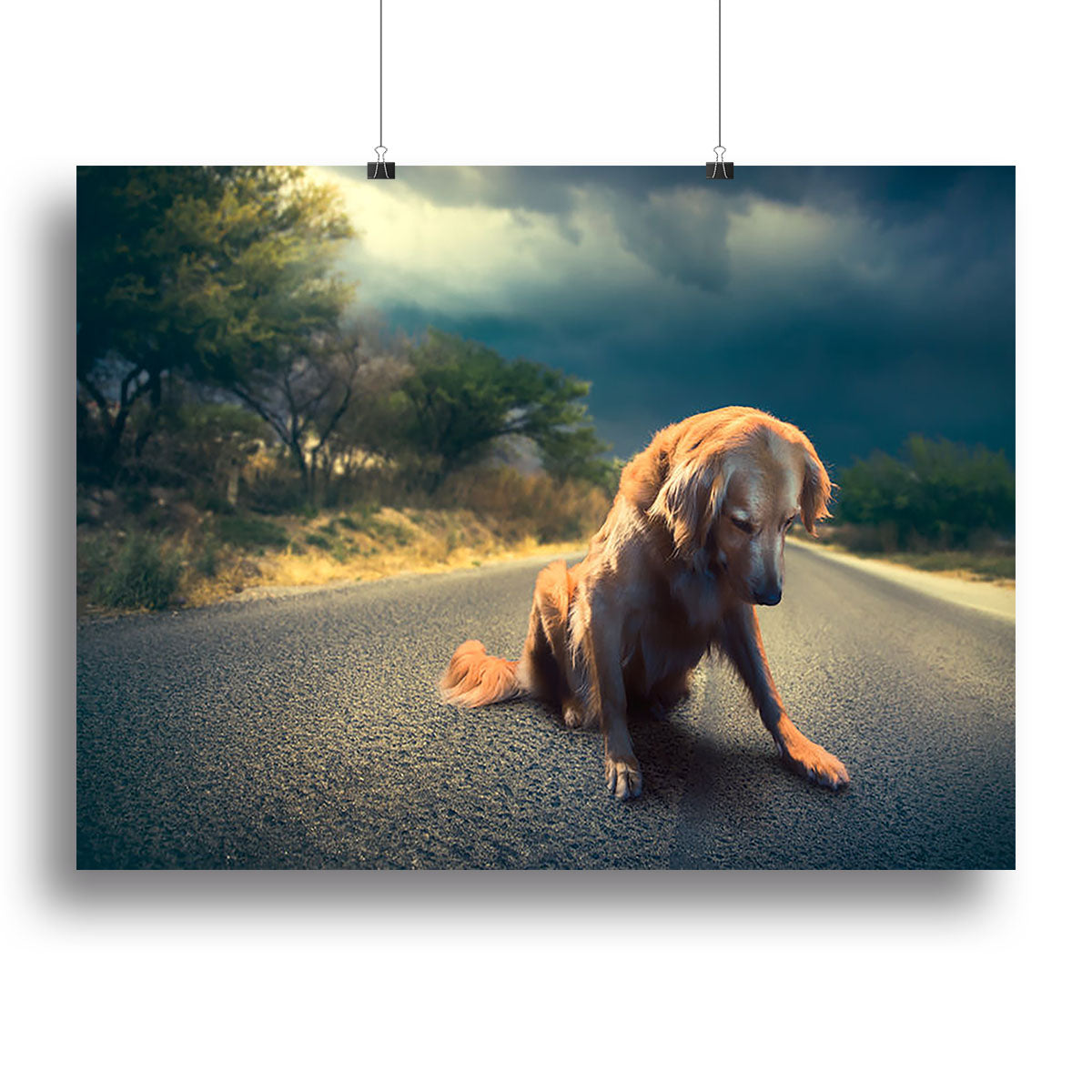 Abandoned dog in the middle of the road Canvas Print or Poster - Canvas Art Rocks - 2