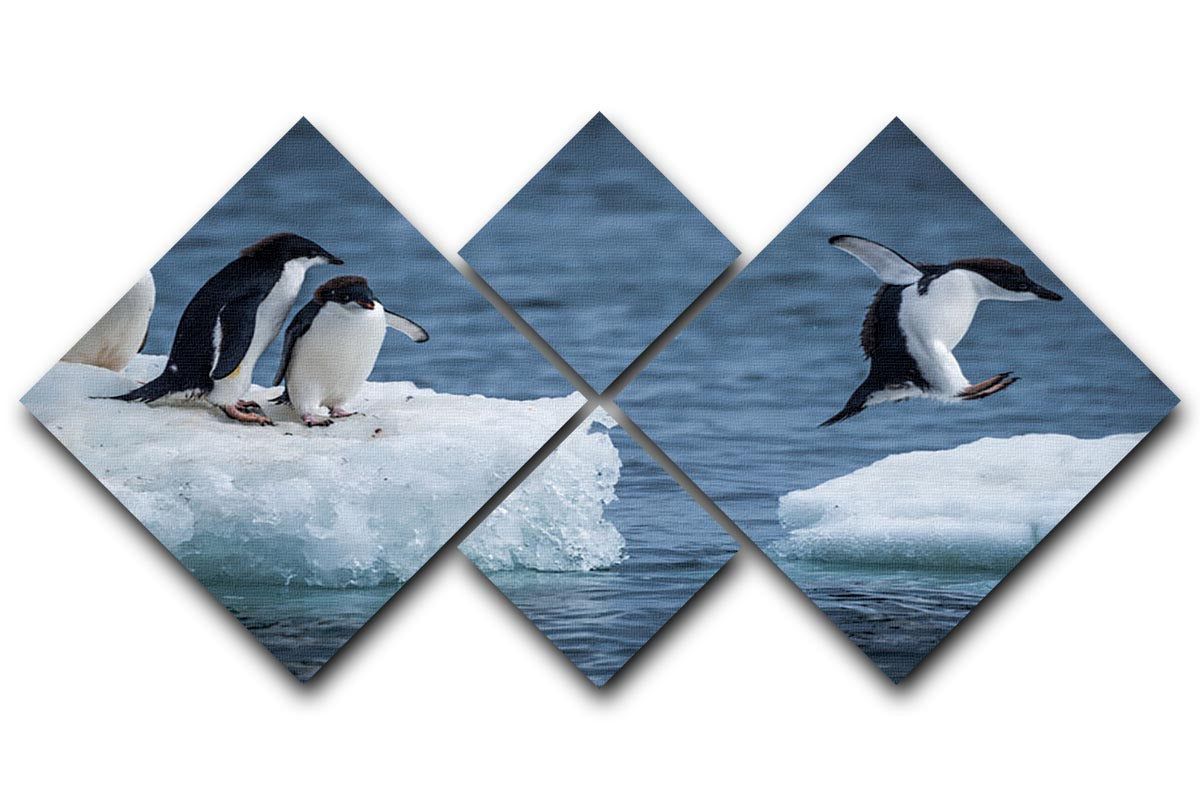 Adelie penguin jumping between two ice floes 4 Square Multi Panel Canvas - Canvas Art Rocks - 1