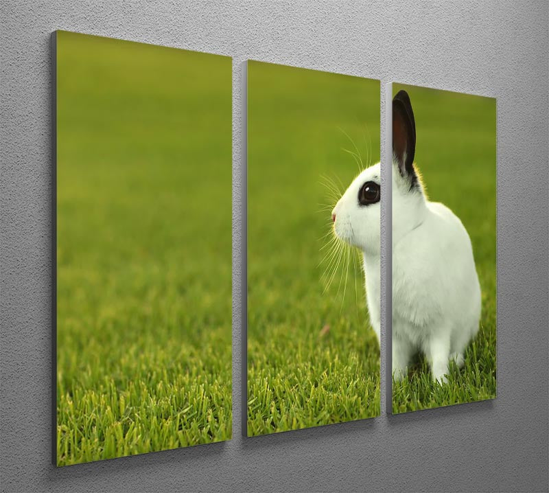 Adorable White Bunny Rabbit 3 Split Panel Canvas Print - Canvas Art Rocks - 2