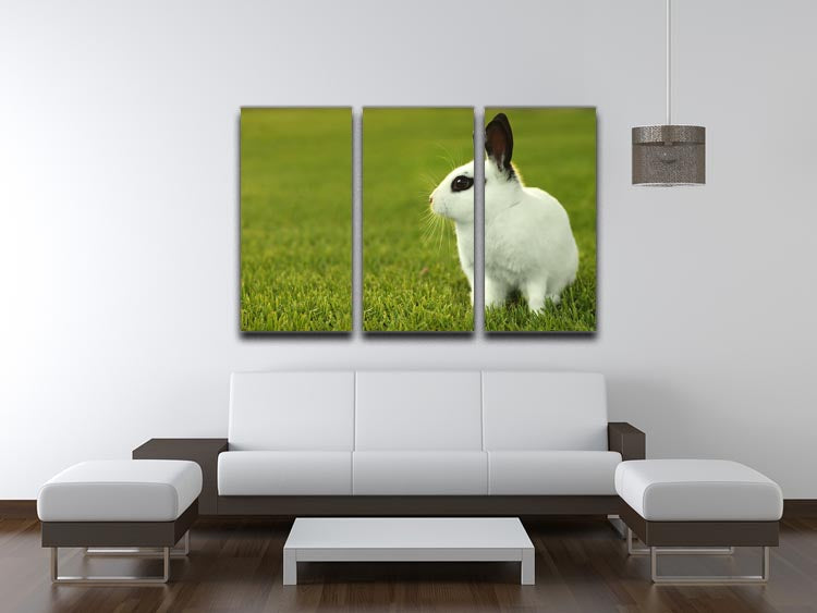 Adorable White Bunny Rabbit 3 Split Panel Canvas Print - Canvas Art Rocks - 3