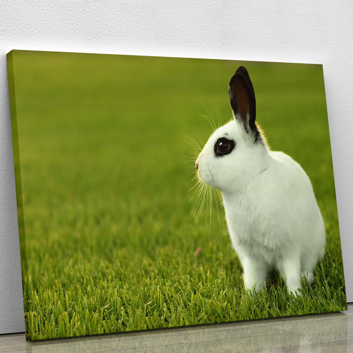 Adorable White Bunny Rabbit Canvas Print or Poster - Canvas Art Rocks - 1