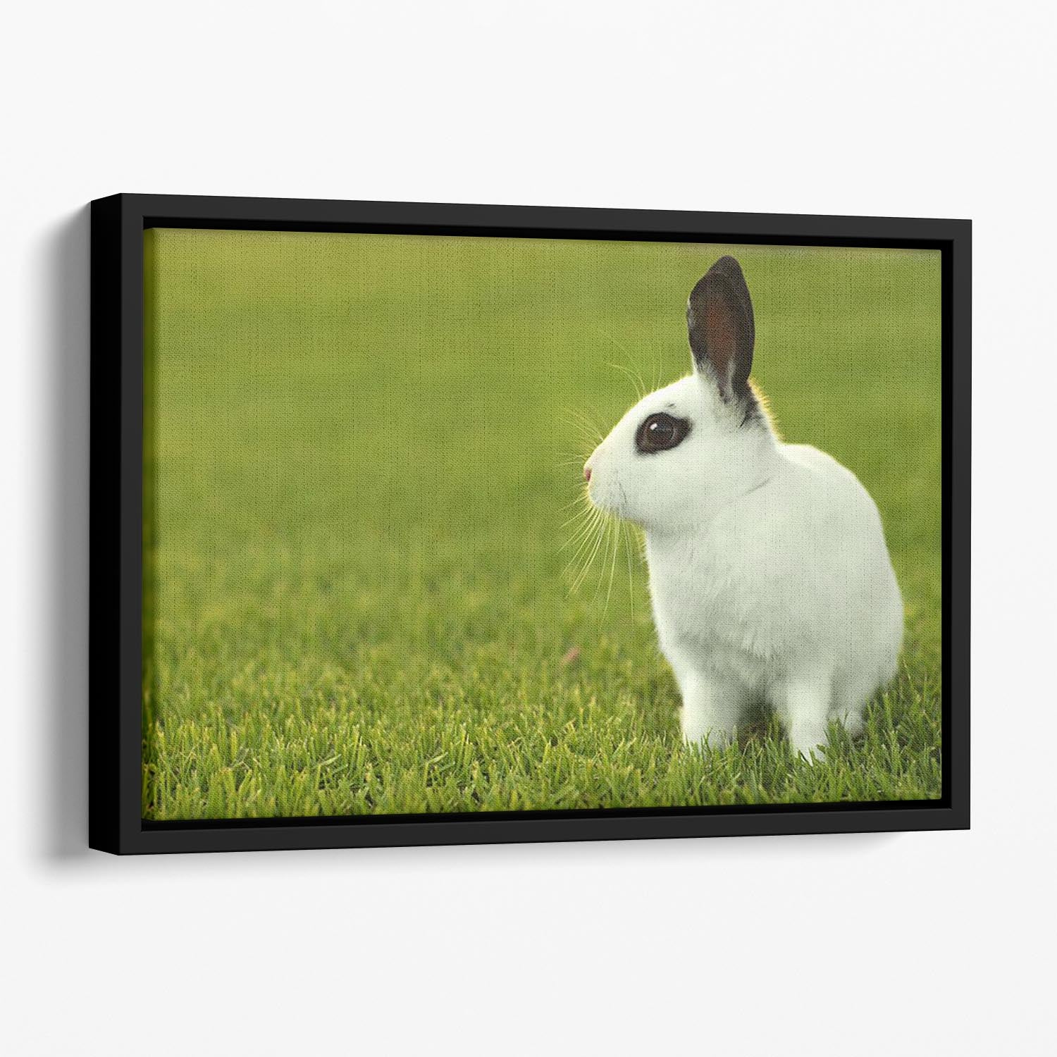 Adorable White Bunny Rabbit Floating Framed Canvas - Canvas Art Rocks - 1