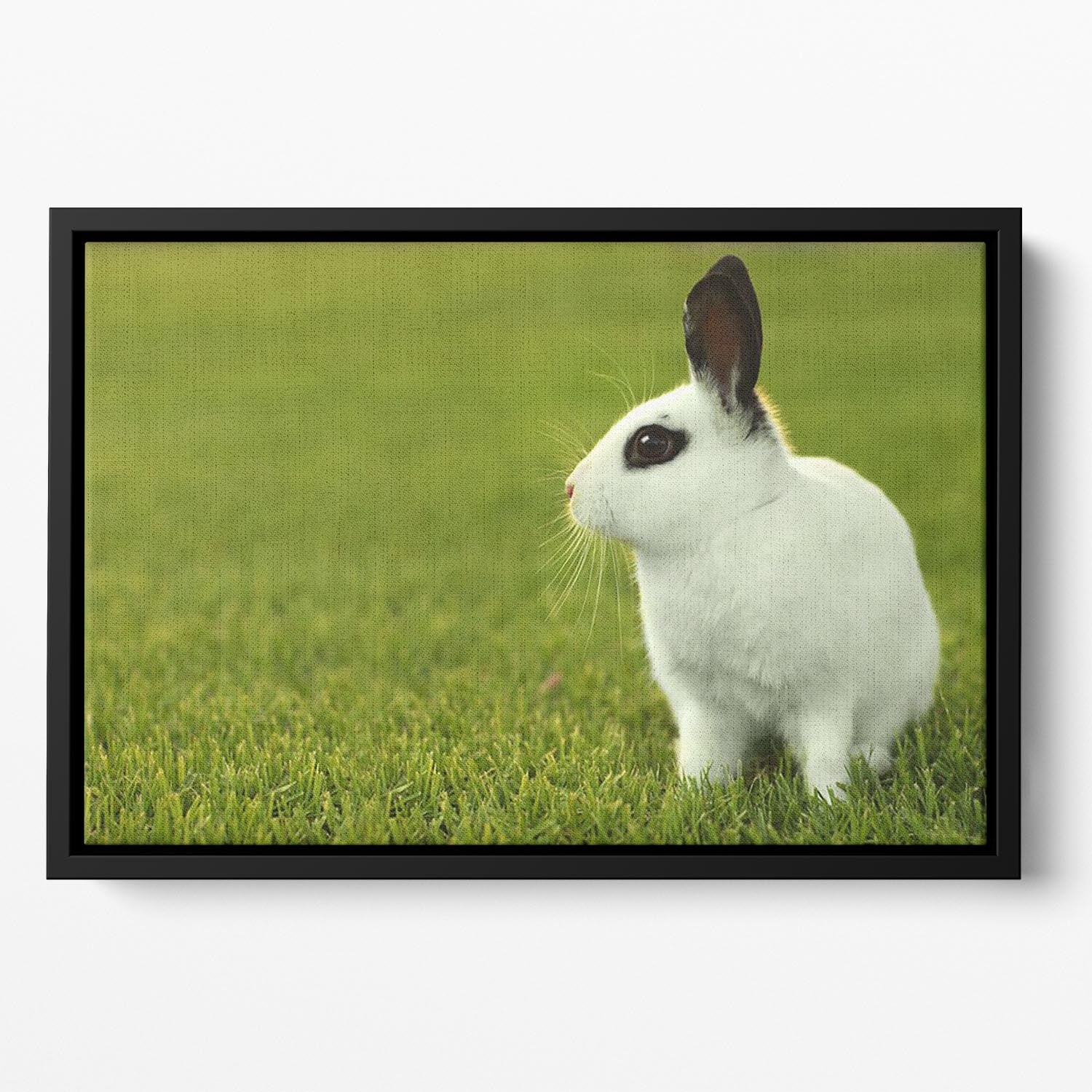 Adorable White Bunny Rabbit Floating Framed Canvas - Canvas Art Rocks - 2
