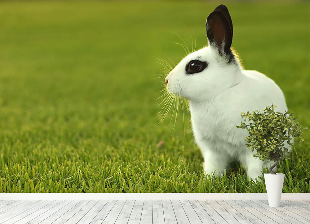 Adorable White Bunny Rabbit Wall Mural Wallpaper - Canvas Art Rocks - 4