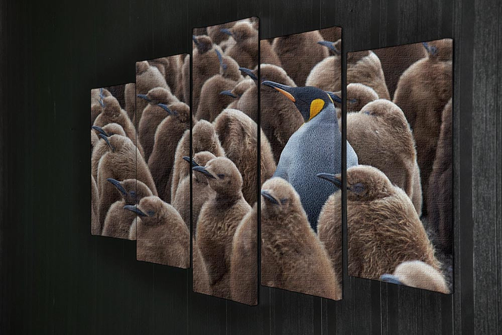 Adult King Penguin Aptenodytes patagonicus standing amongst a large group 5 Split Panel Canvas - Canvas Art Rocks - 2