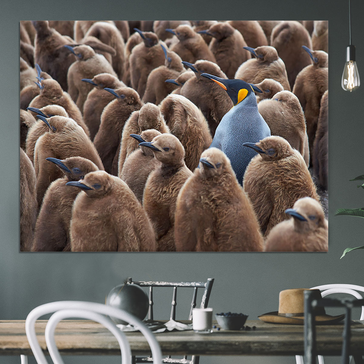 Adult King Penguin Aptenodytes patagonicus standing amongst a large group Canvas Print or Poster - Canvas Art Rocks - 3