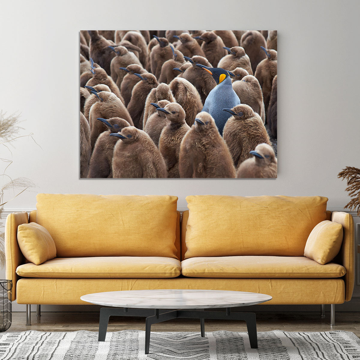 Adult King Penguin Aptenodytes patagonicus standing amongst a large group Canvas Print or Poster - Canvas Art Rocks - 4