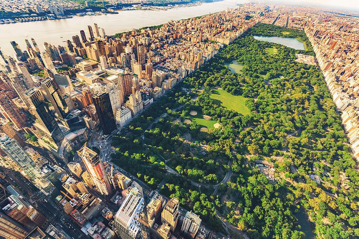 Aerial view looking north up Central Park Wall Mural Wallpaper