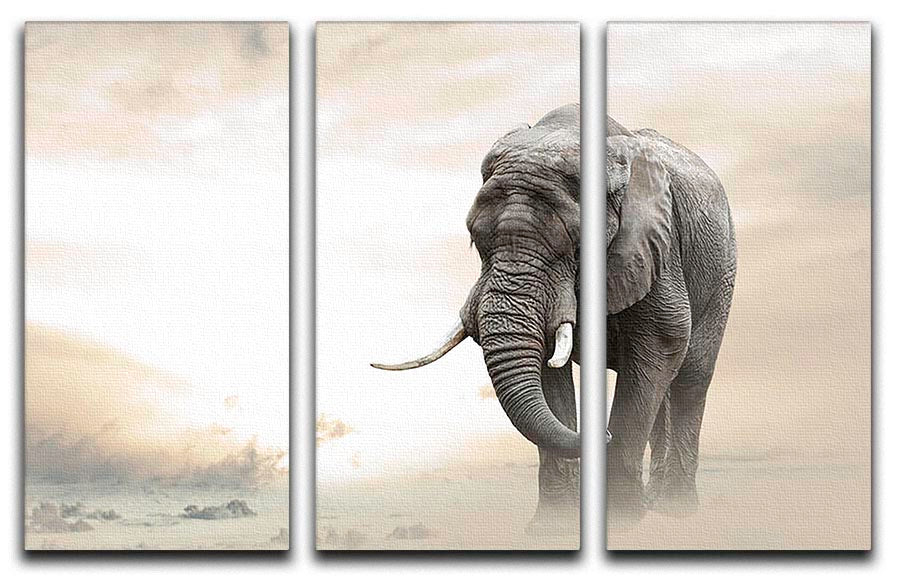 African elephant male walking alone in desert at sunset 3 Split Panel Canvas Print - Canvas Art Rocks - 1