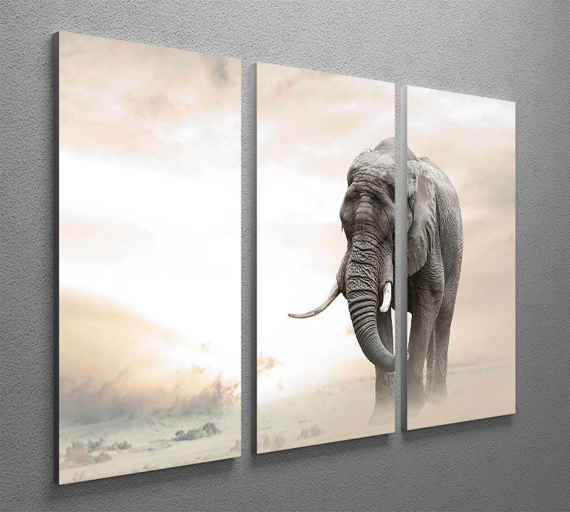 African elephant male walking alone in desert at sunset 3 Split Panel Canvas Print - Canvas Art Rocks - 2