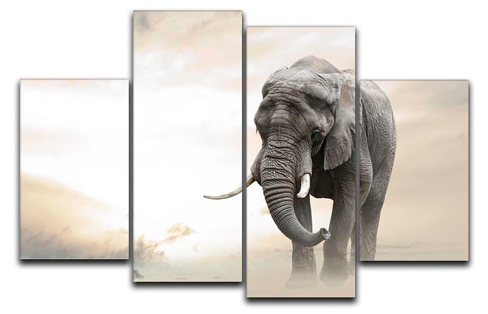 African elephant male walking alone in desert at sunset 4 Split Panel Canvas - Canvas Art Rocks - 1