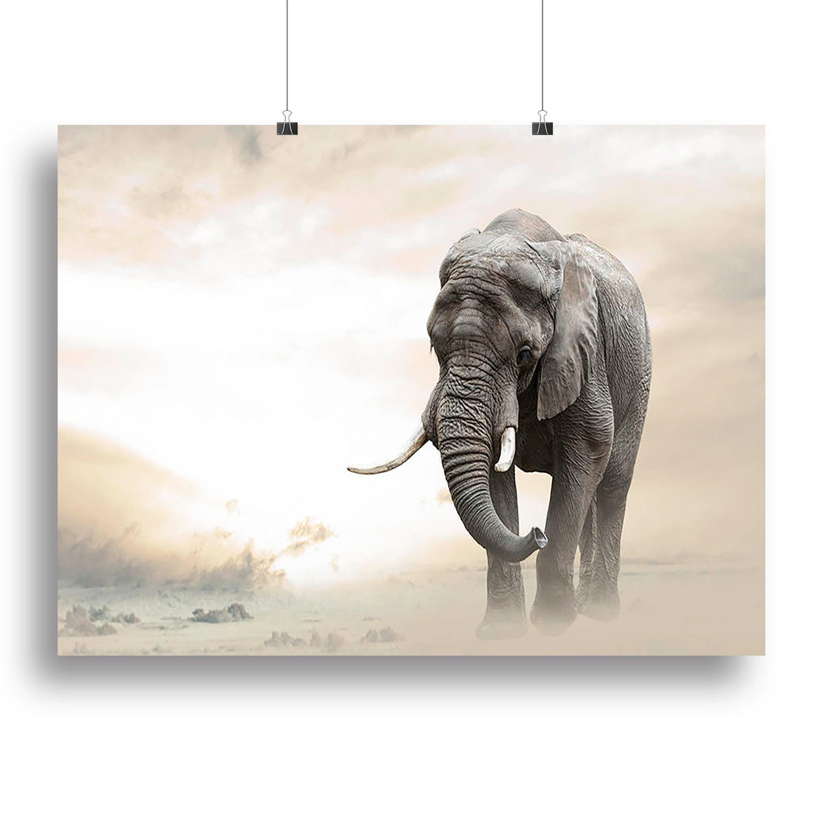 African elephant male walking alone in desert at sunset Canvas Print or Poster - Canvas Art Rocks - 2