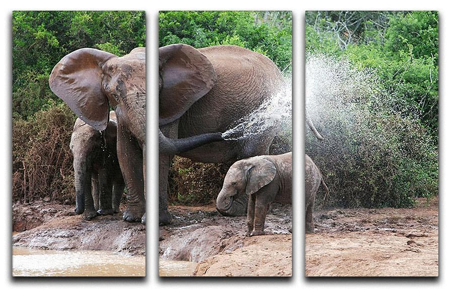 African elephant mother and baby cooling off 3 Split Panel Canvas Print - Canvas Art Rocks - 1