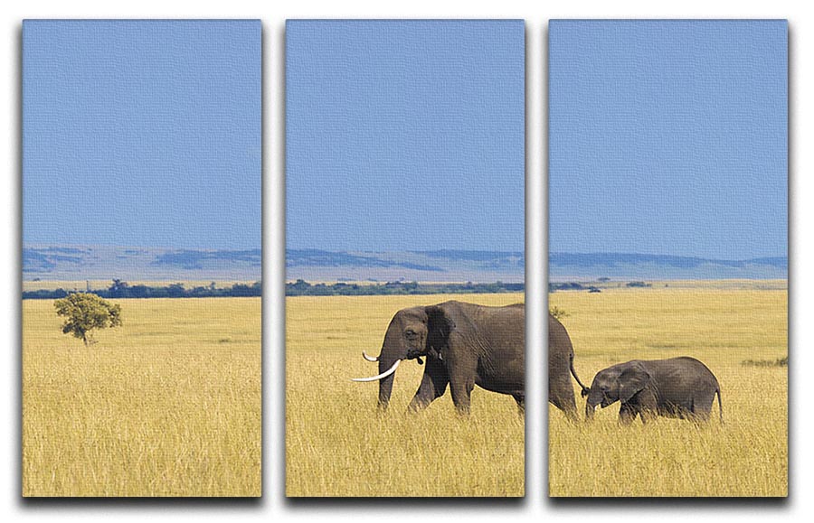 African elephant with calf 3 Split Panel Canvas Print - Canvas Art Rocks - 1