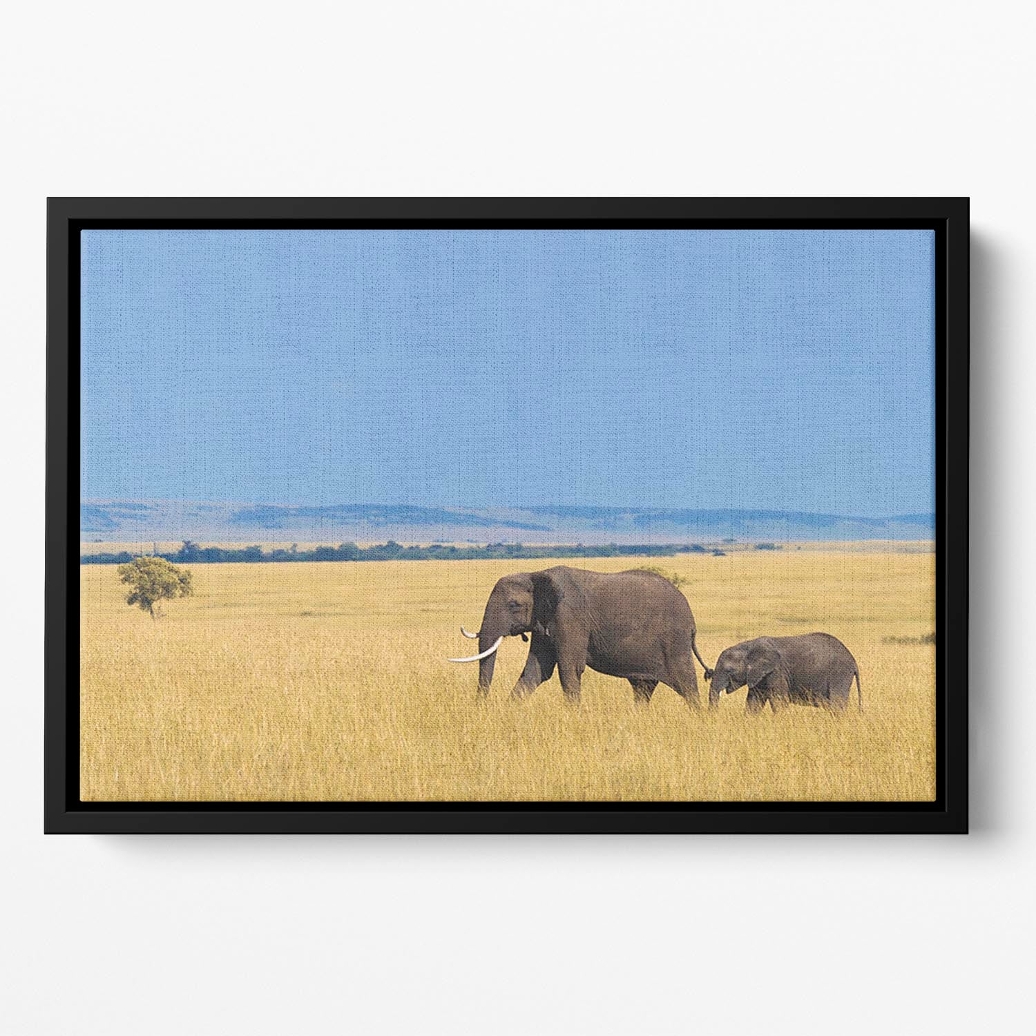 African elephant with calf Floating Framed Canvas - Canvas Art Rocks - 2