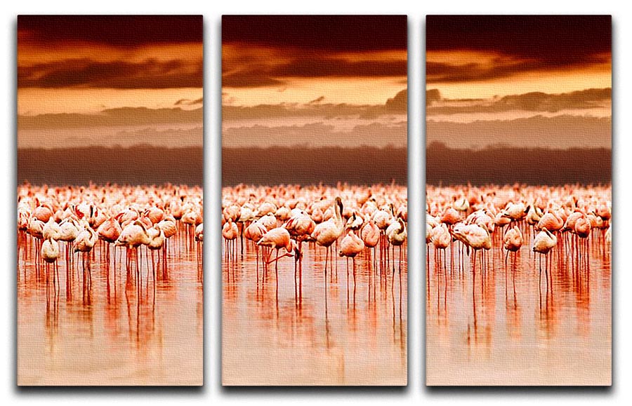 African flamingos in the lake over beautiful sunset 3 Split Panel Canvas Print - Canvas Art Rocks - 1