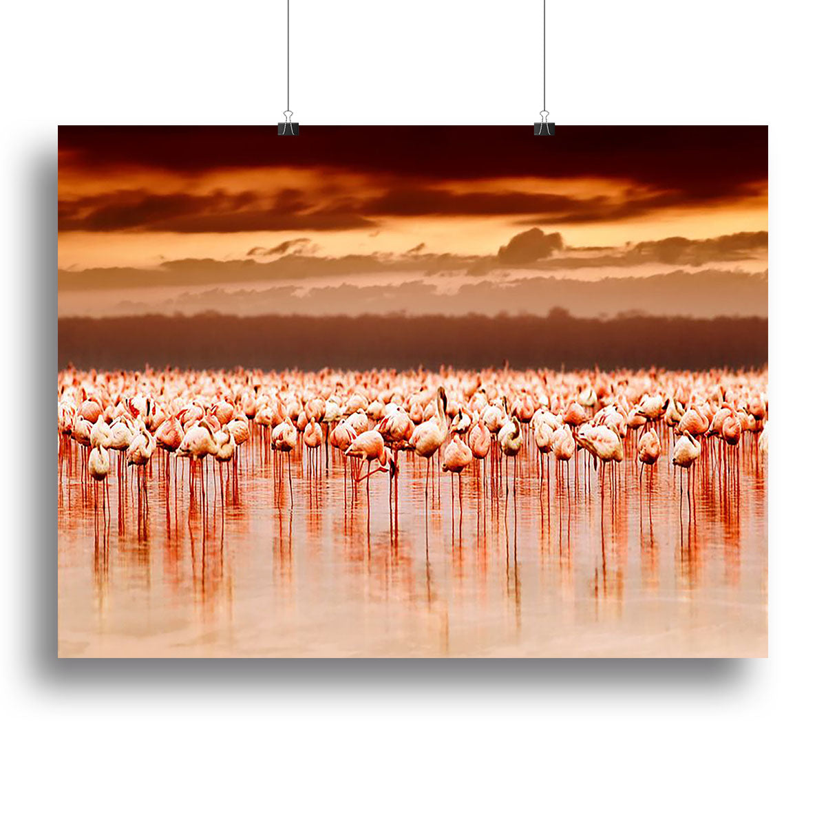 African flamingos in the lake over beautiful sunset Canvas Print or Poster - Canvas Art Rocks - 2