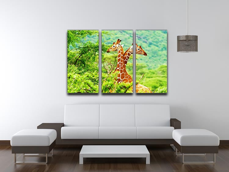 African giraffes family 3 Split Panel Canvas Print - Canvas Art Rocks - 3