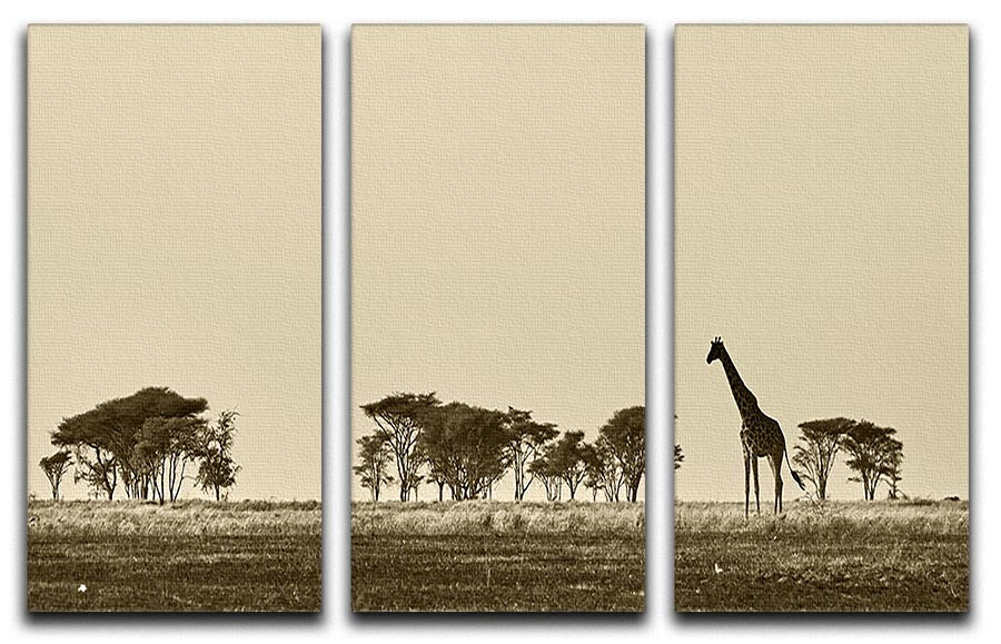 African landscape with giraffe in black and white 3 Split Panel Canvas Print - Canvas Art Rocks - 1