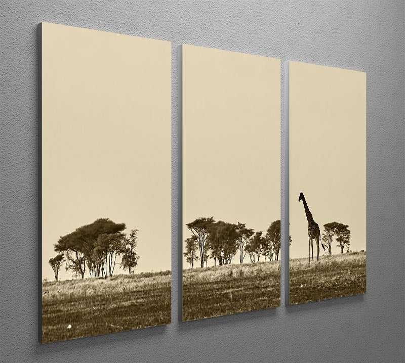 African landscape with giraffe in black and white 3 Split Panel Canvas Print - Canvas Art Rocks - 2