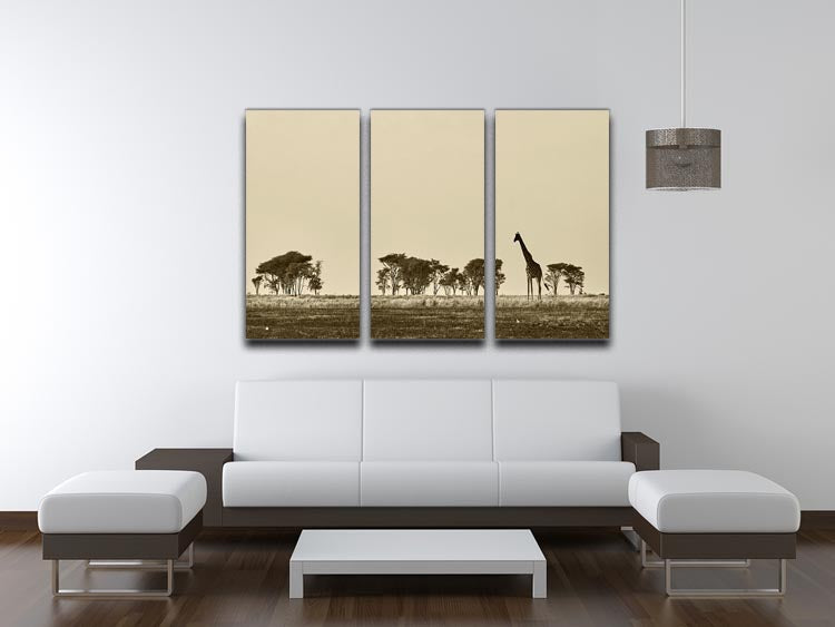 African landscape with giraffe in black and white 3 Split Panel Canvas Print - Canvas Art Rocks - 3