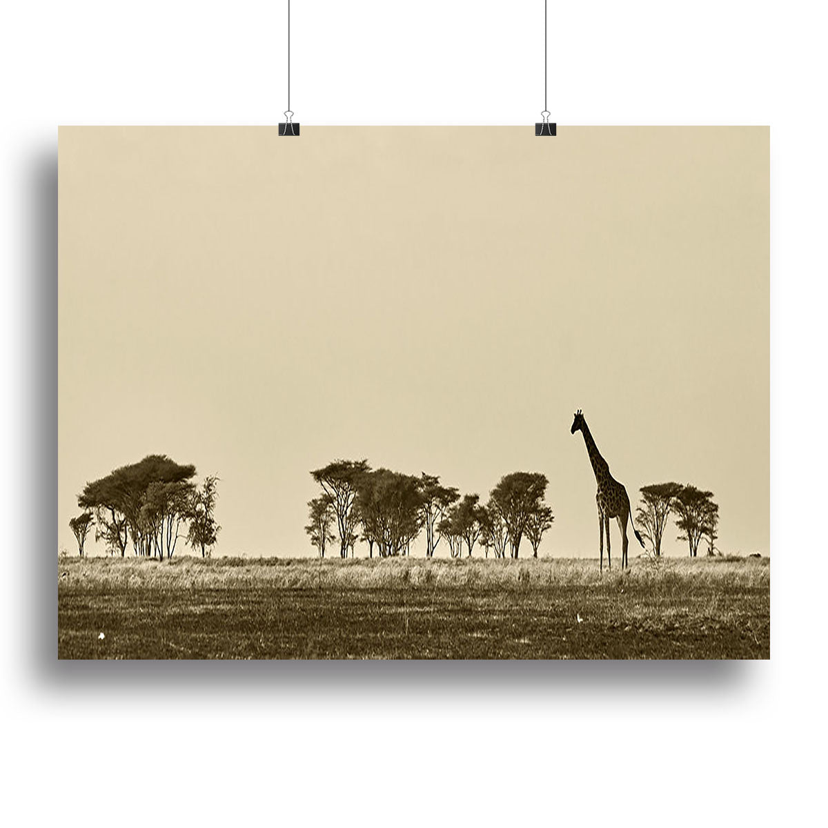 African landscape with giraffe in black and white Canvas Print or Poster - Canvas Art Rocks - 2