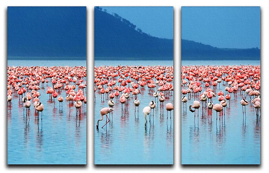 African safari flamingos in the lake 3 Split Panel Canvas Print - Canvas Art Rocks - 1
