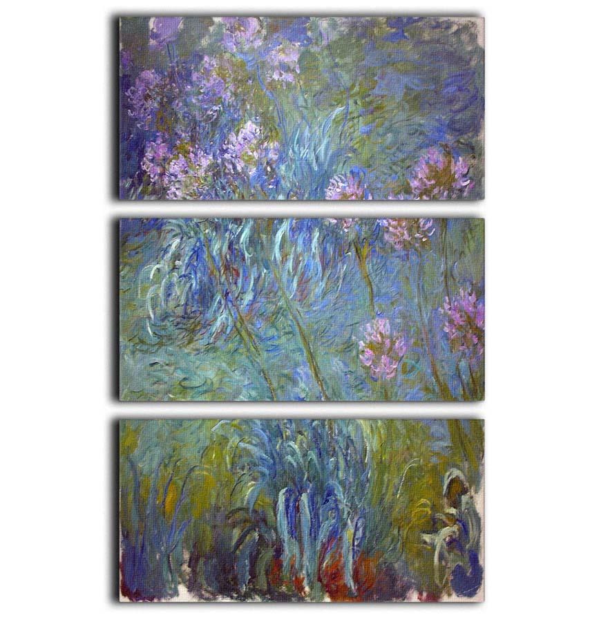Agapanthus by Monet 3 Split Panel Canvas Print - Canvas Art Rocks - 1