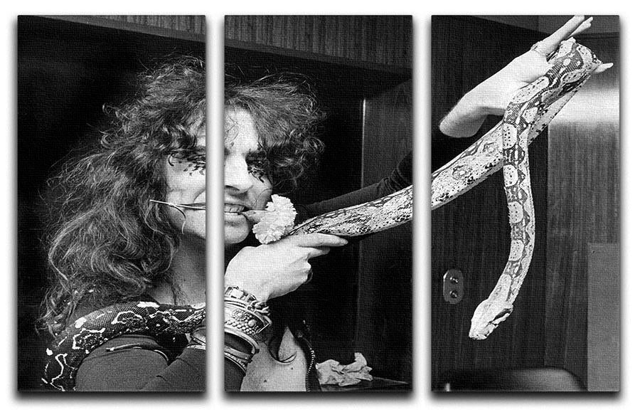 Alice Cooper with his snake 3 Split Panel Canvas Print - Canvas Art Rocks - 1