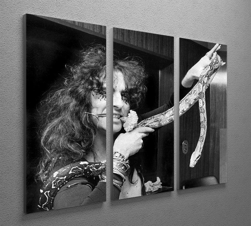 Alice Cooper with his snake 3 Split Panel Canvas Print - Canvas Art Rocks - 2