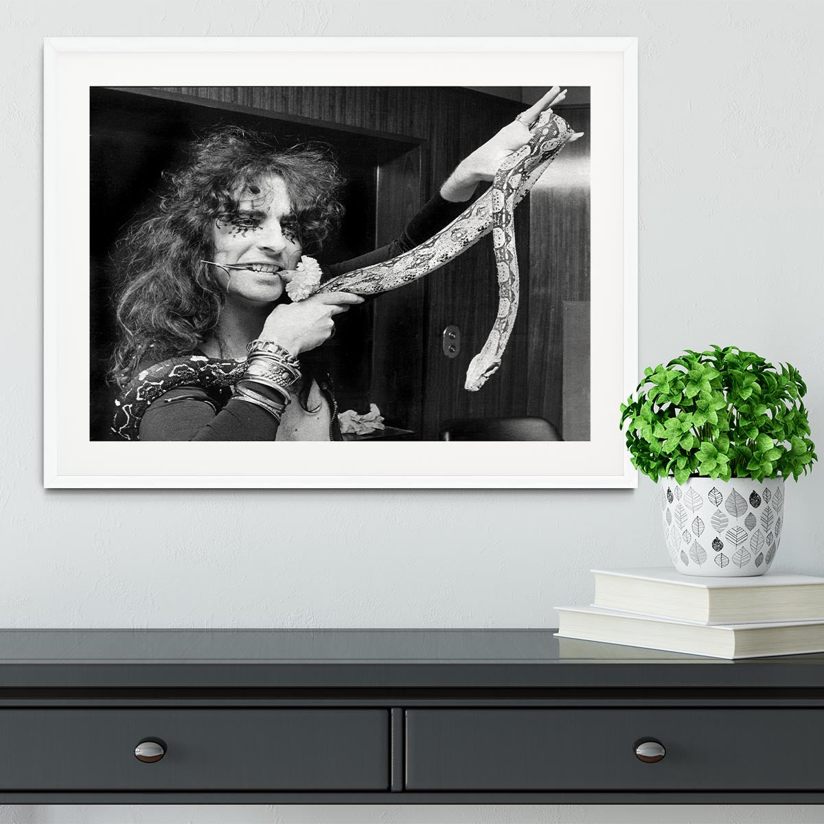 Alice Cooper with his snake Framed Print - Canvas Art Rocks - 5