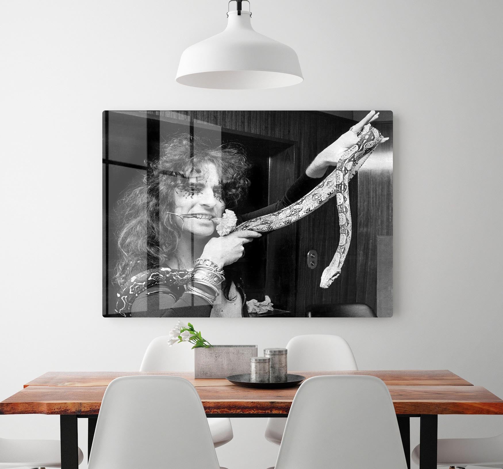 Alice Cooper with his snake HD Metal Print