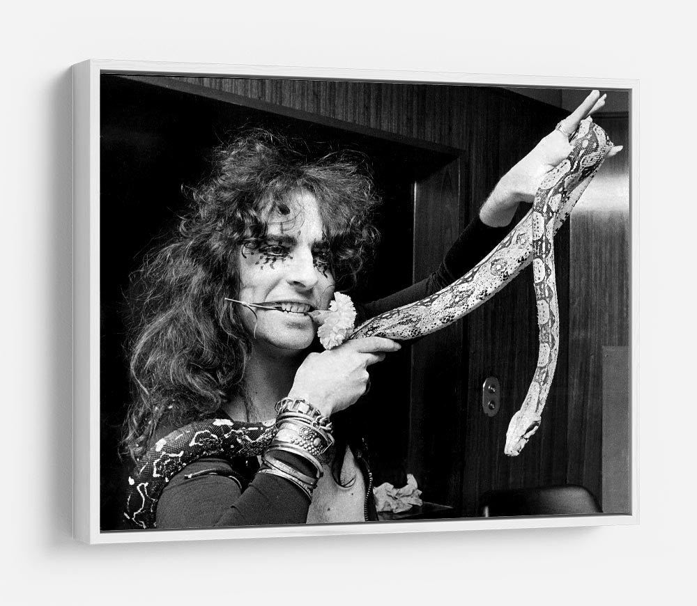 Alice Cooper with his snake HD Metal Print
