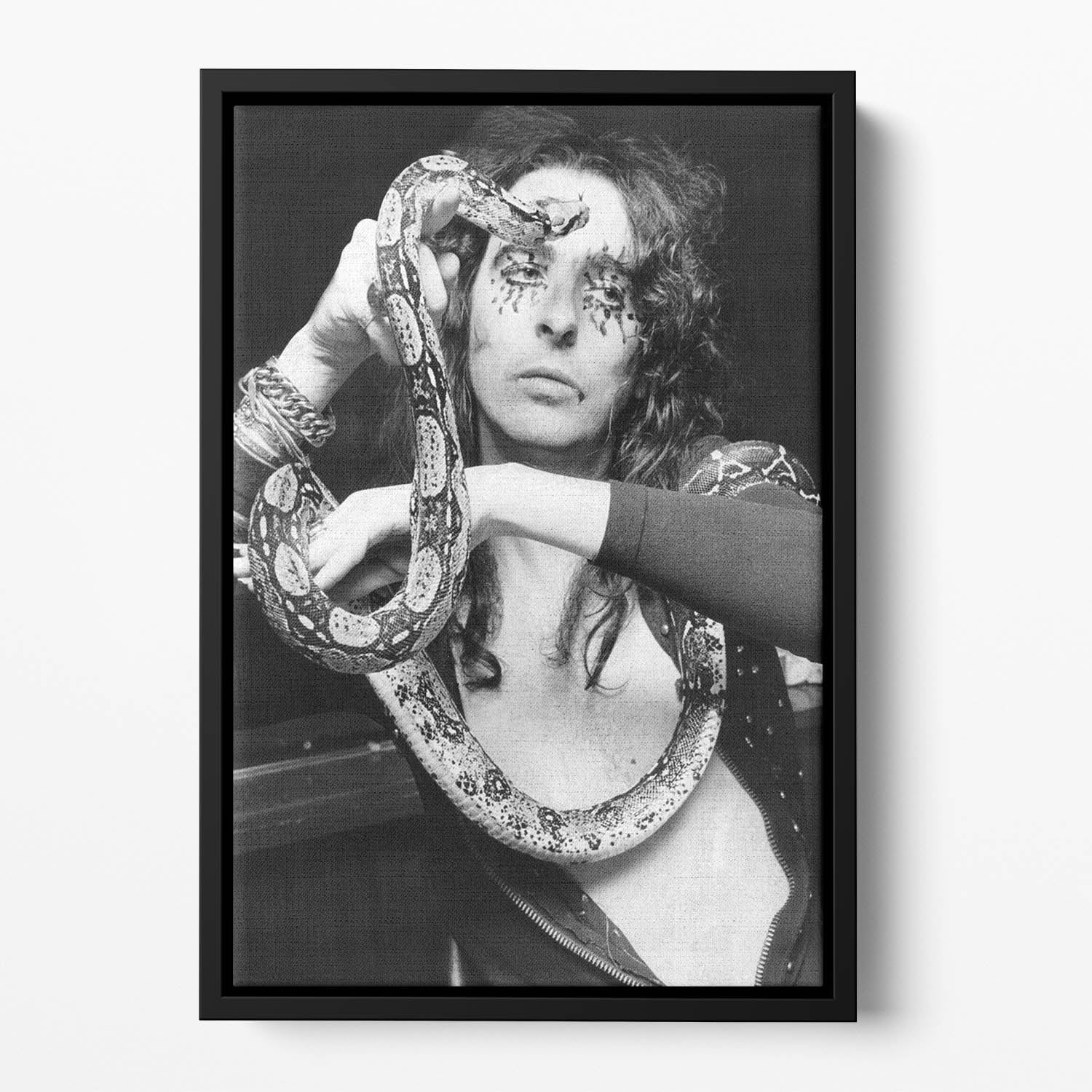 Alice Cooper with his snake Katrina Floating Framed Canvas