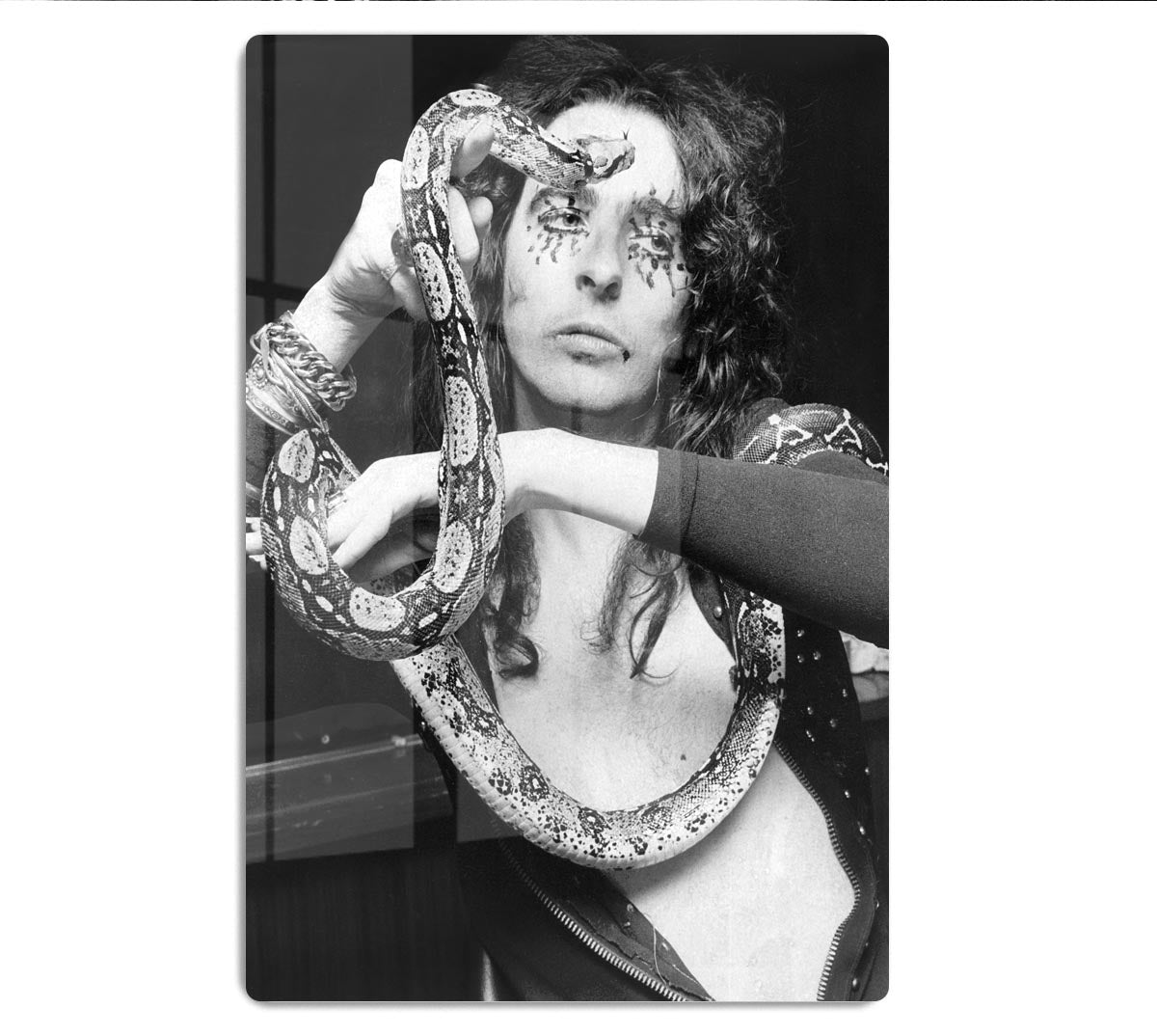 Alice Cooper with his snake Katrina HD Metal Print - Canvas Art Rocks - 1