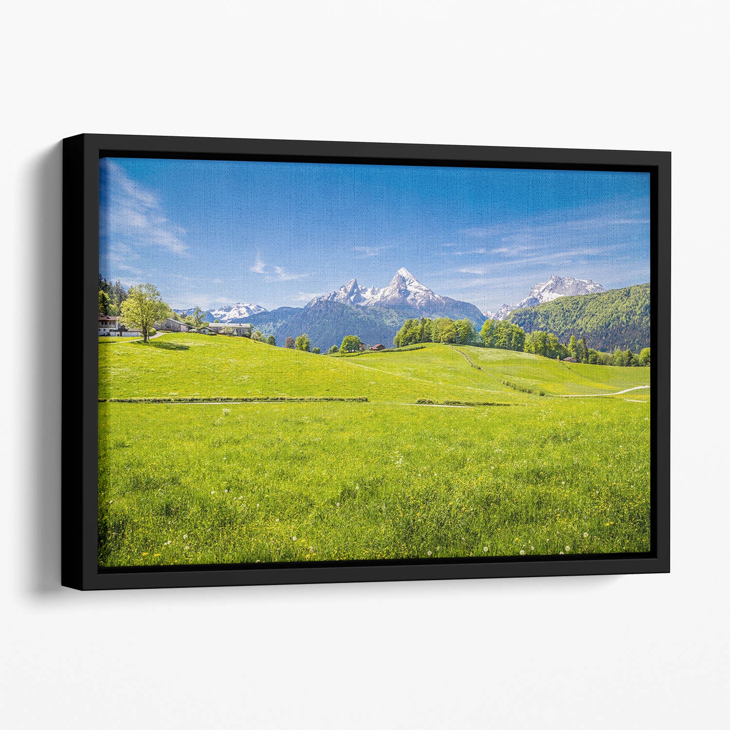 Alps with fresh green meadow Floating Framed Canvas