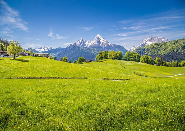 Alps with fresh green meadow Wall Mural Wallpaper