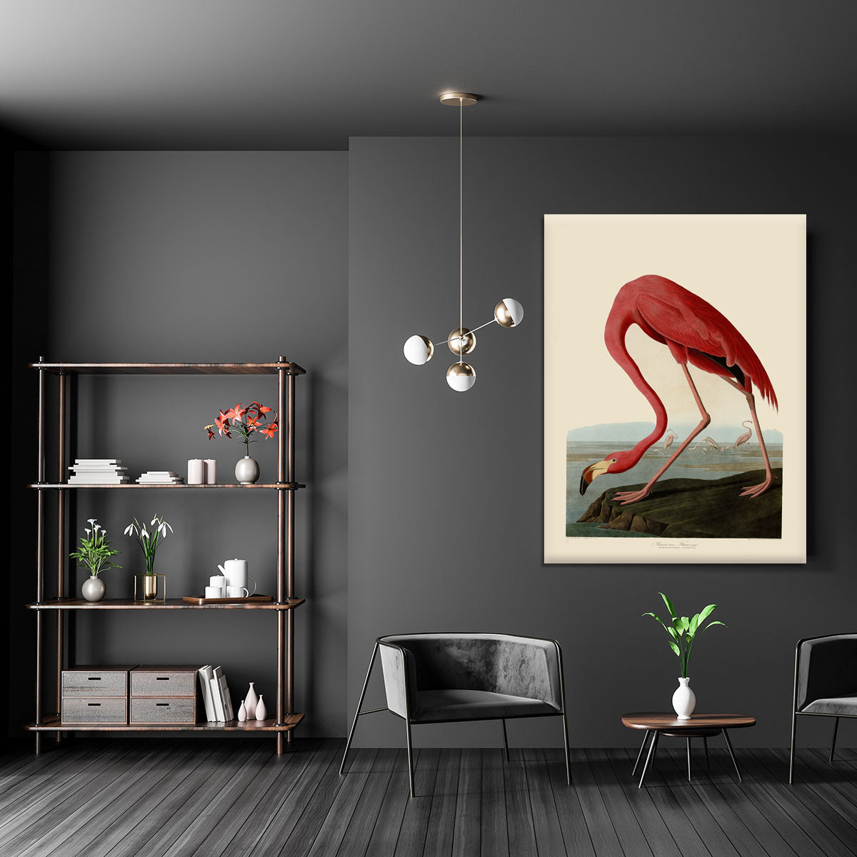 American Flamingo by Audubon Canvas Print or Poster