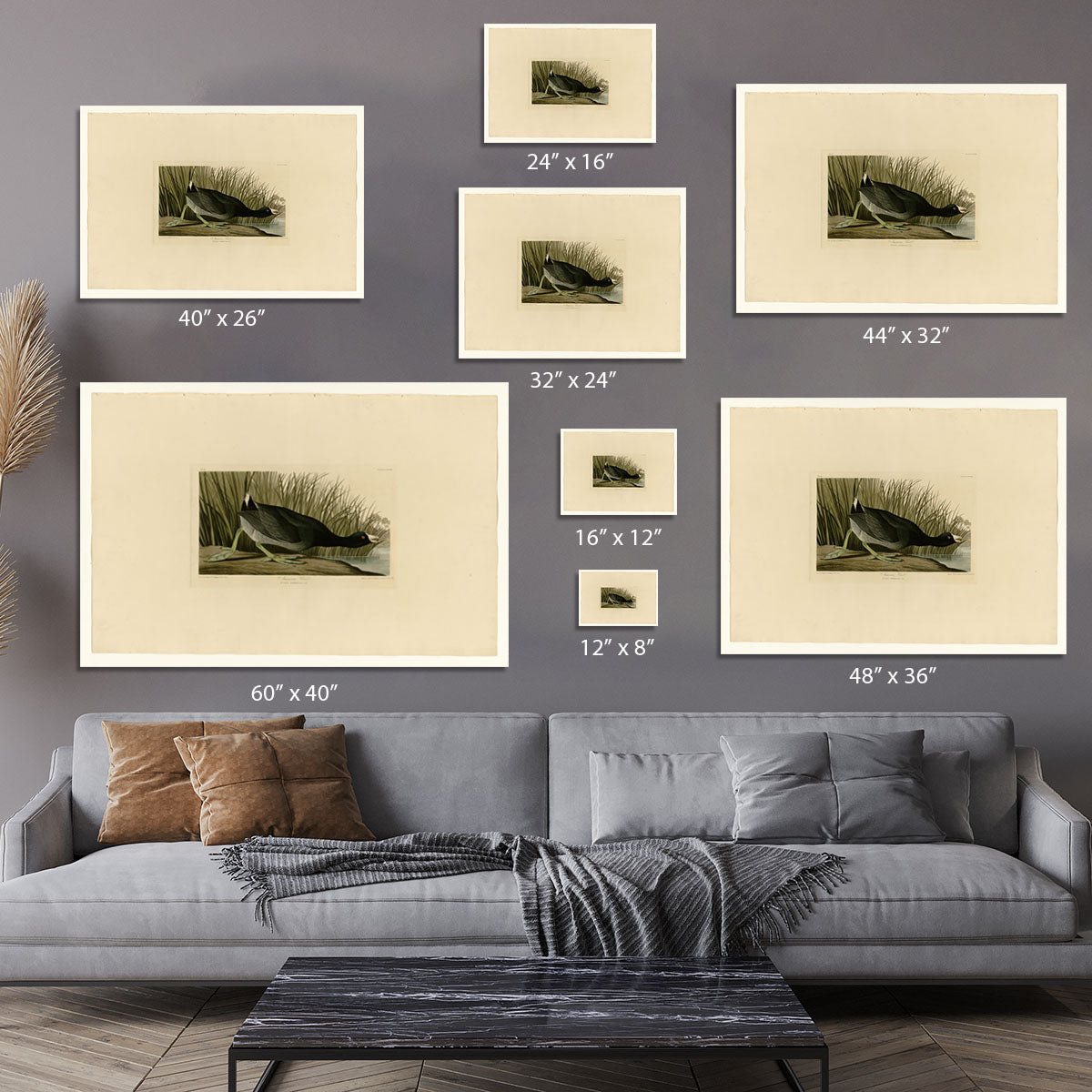 American Coot by Audubon Canvas Print or Poster - Canvas Art Rocks - 7