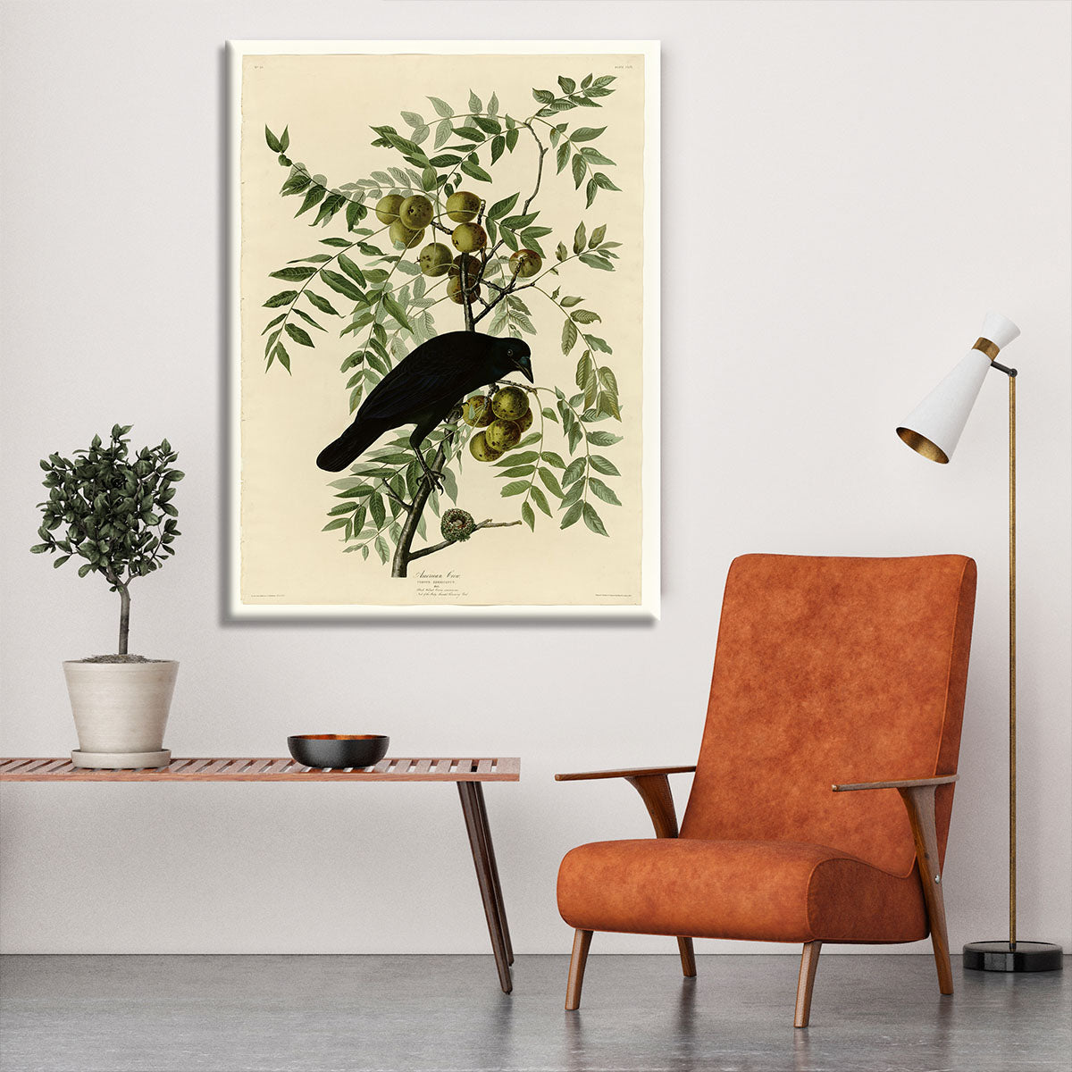American Crow by Audubon Canvas Print or Poster - Canvas Art Rocks - 6