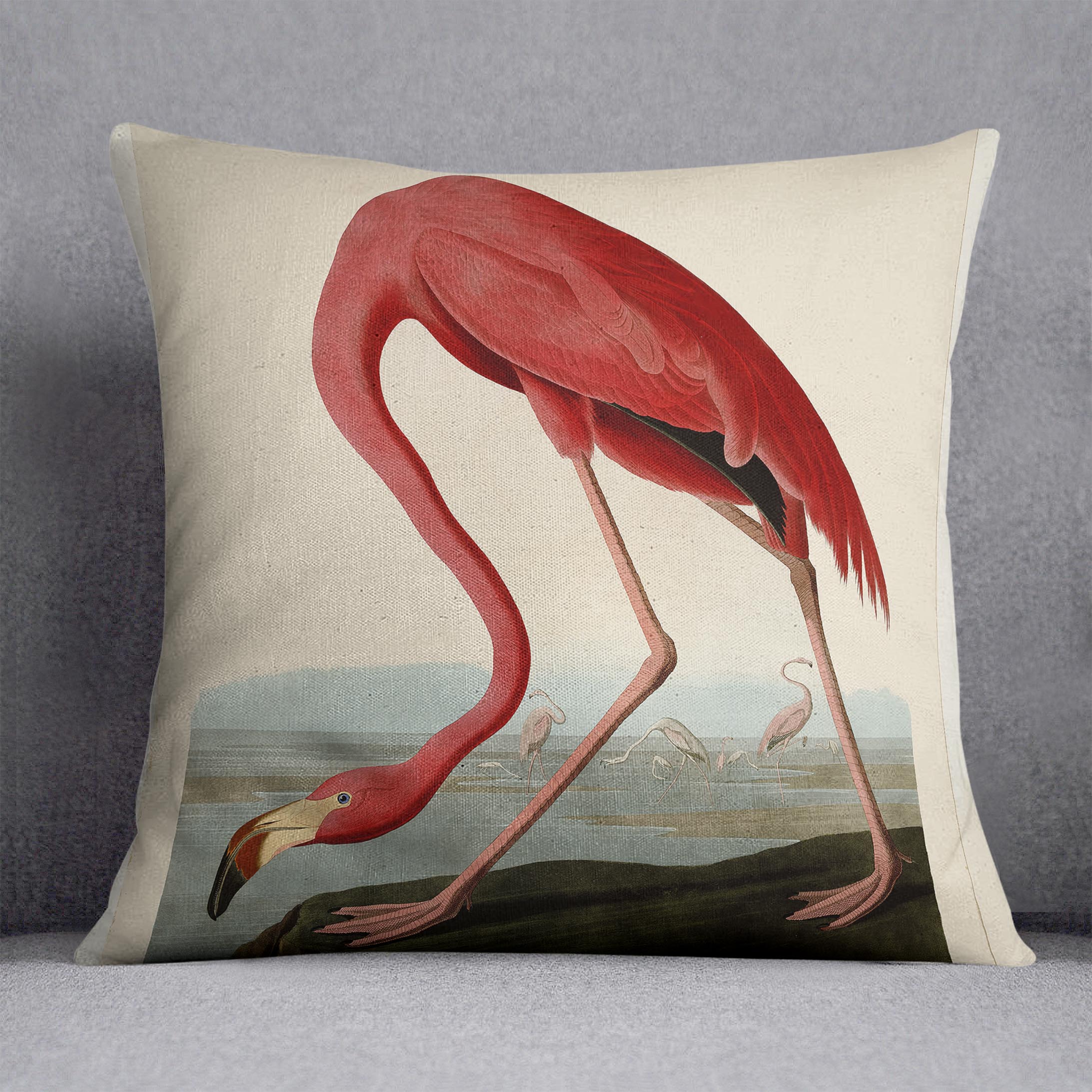 American Flamingo 2 by Audubon Cushion