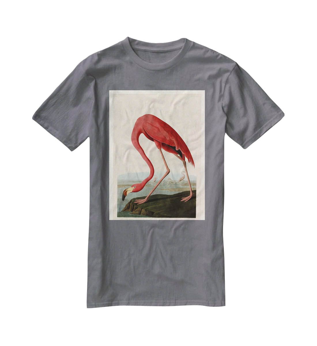 American Flamingo 2 by Audubon T-Shirt - Canvas Art Rocks - 3