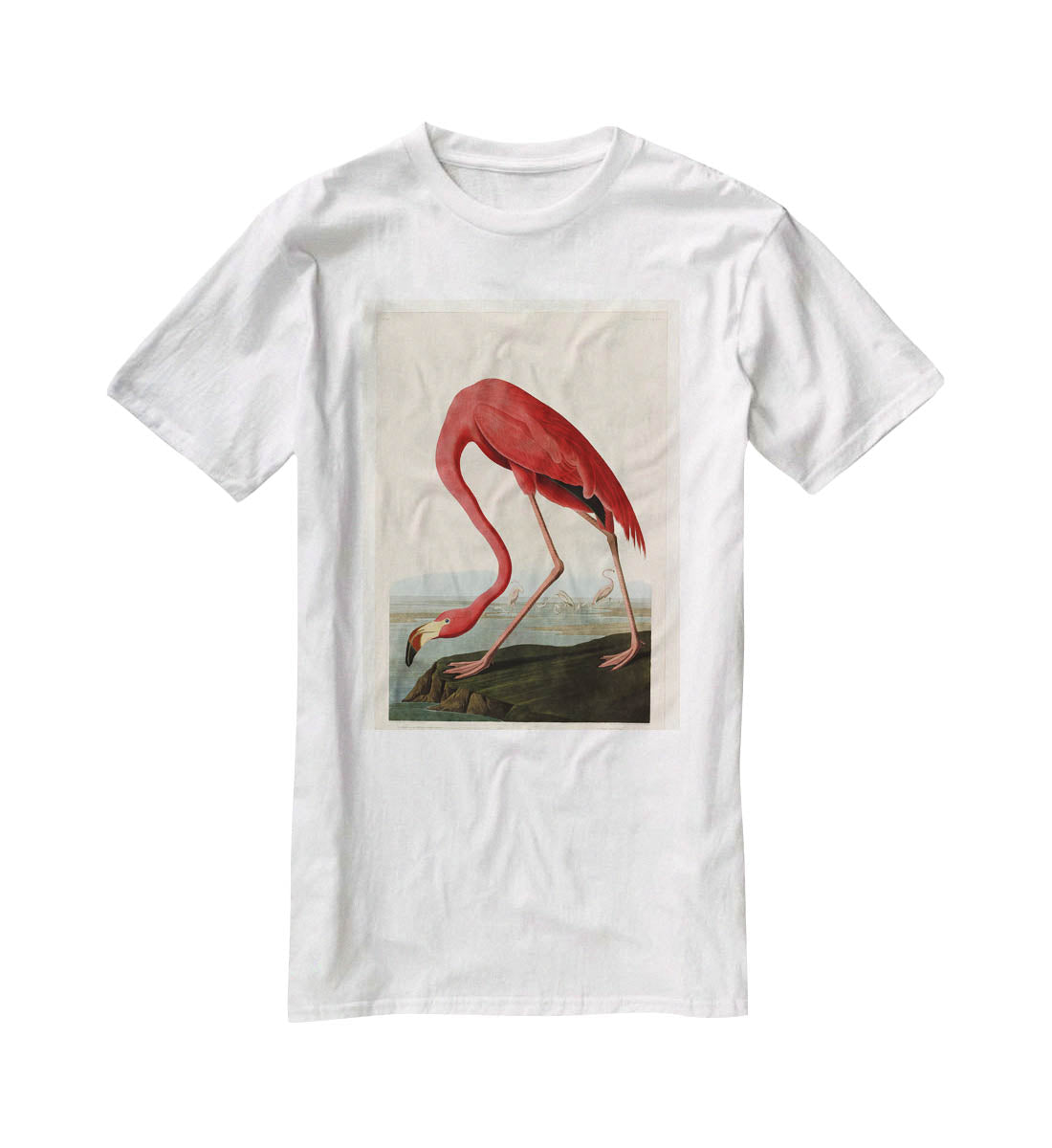 American Flamingo 2 by Audubon T-Shirt - Canvas Art Rocks - 5