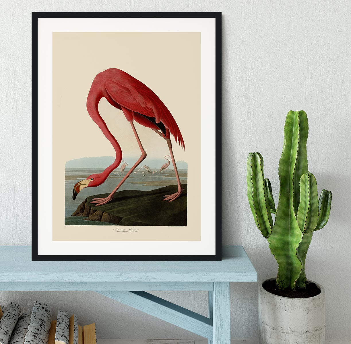 American Flamingo by Audubon Framed Print - Canvas Art Rocks - 1