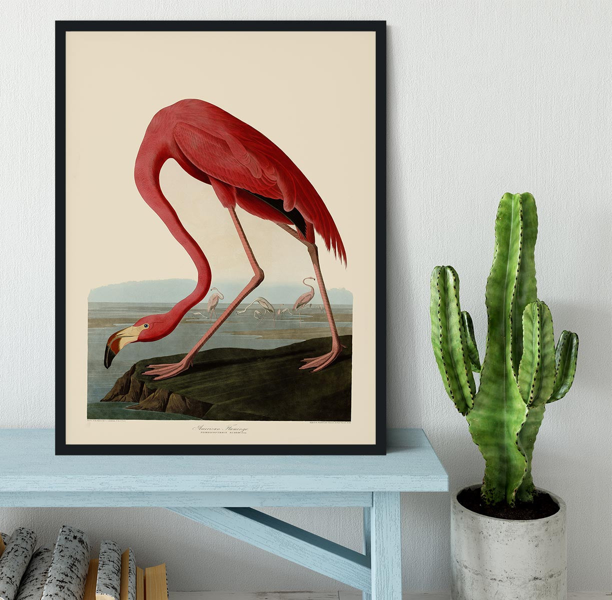American Flamingo by Audubon Framed Print - Canvas Art Rocks - 2