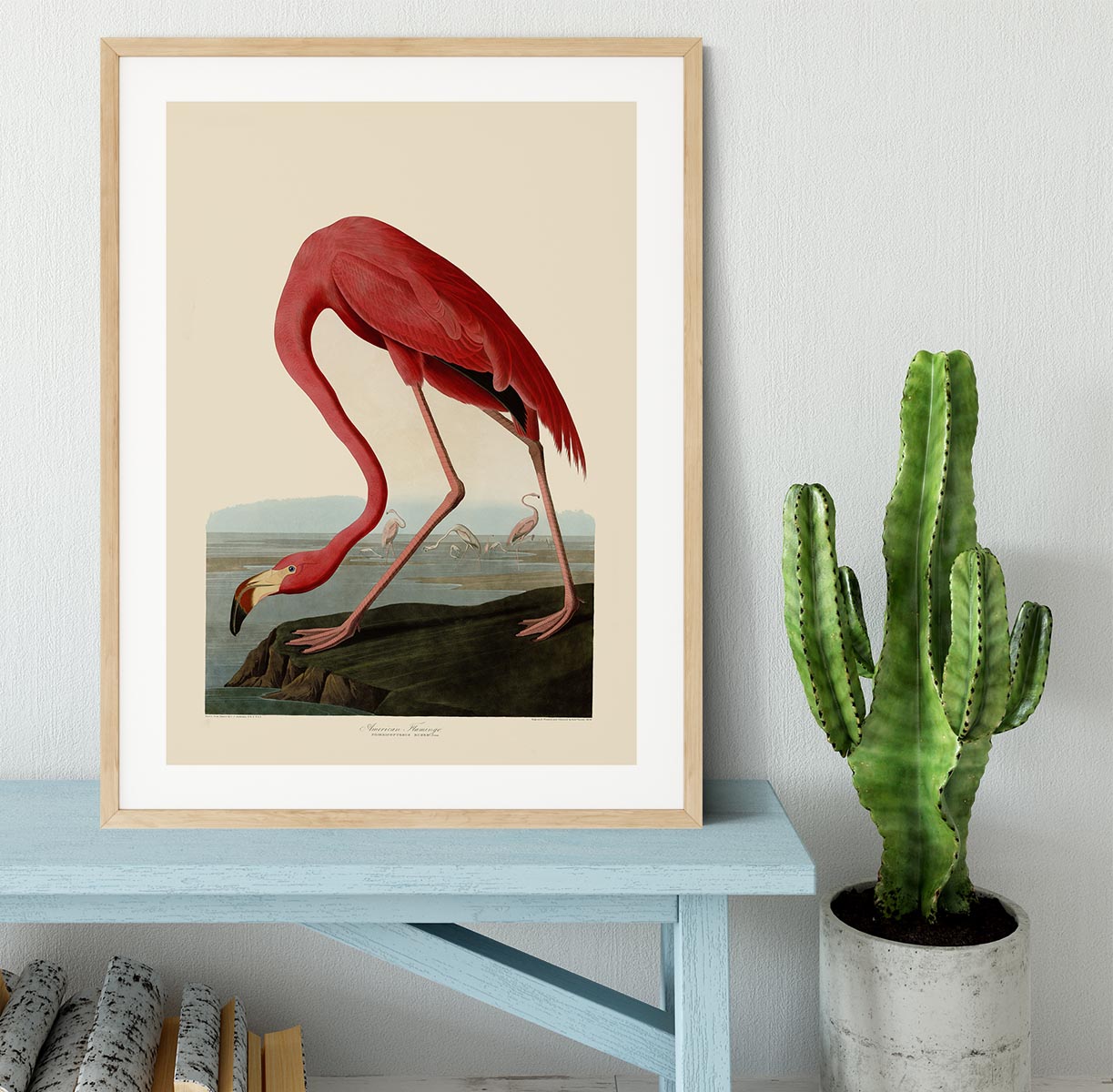 American Flamingo by Audubon Framed Print - Canvas Art Rocks - 3