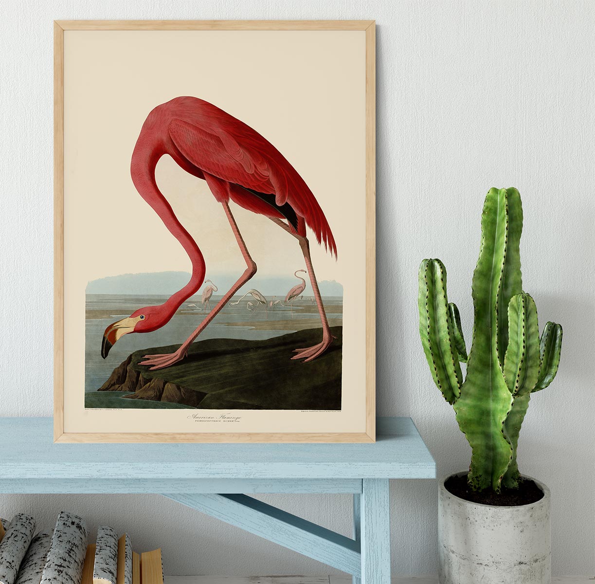 American Flamingo by Audubon Framed Print - Canvas Art Rocks - 4