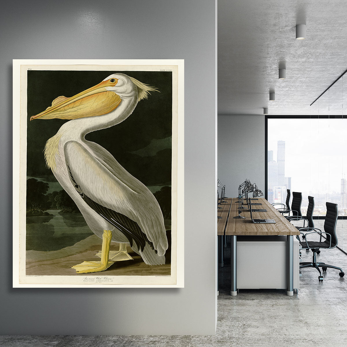 American White Pelican by Audubon Canvas Print or Poster - Canvas Art Rocks - 3