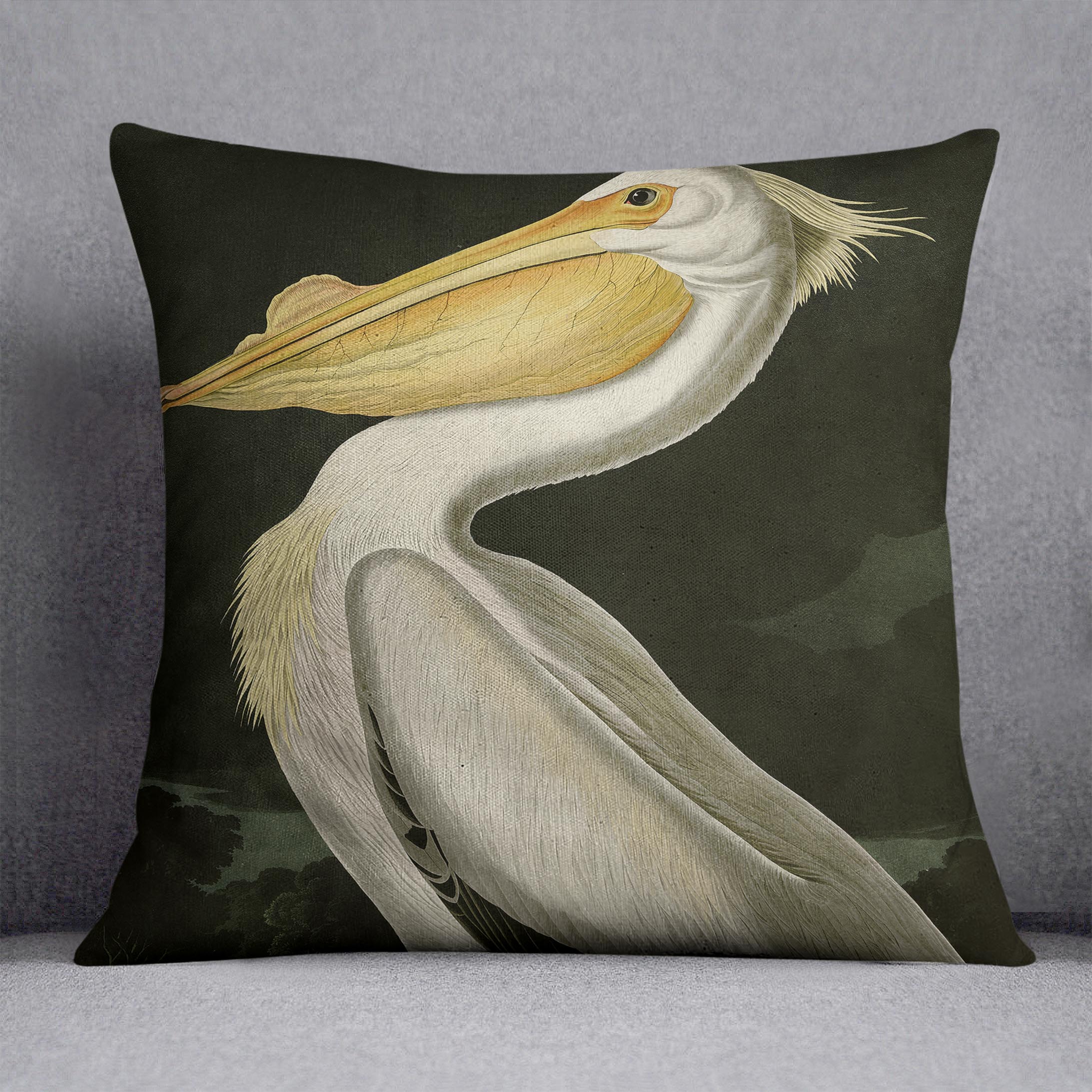 American White Pelican by Audubon Cushion