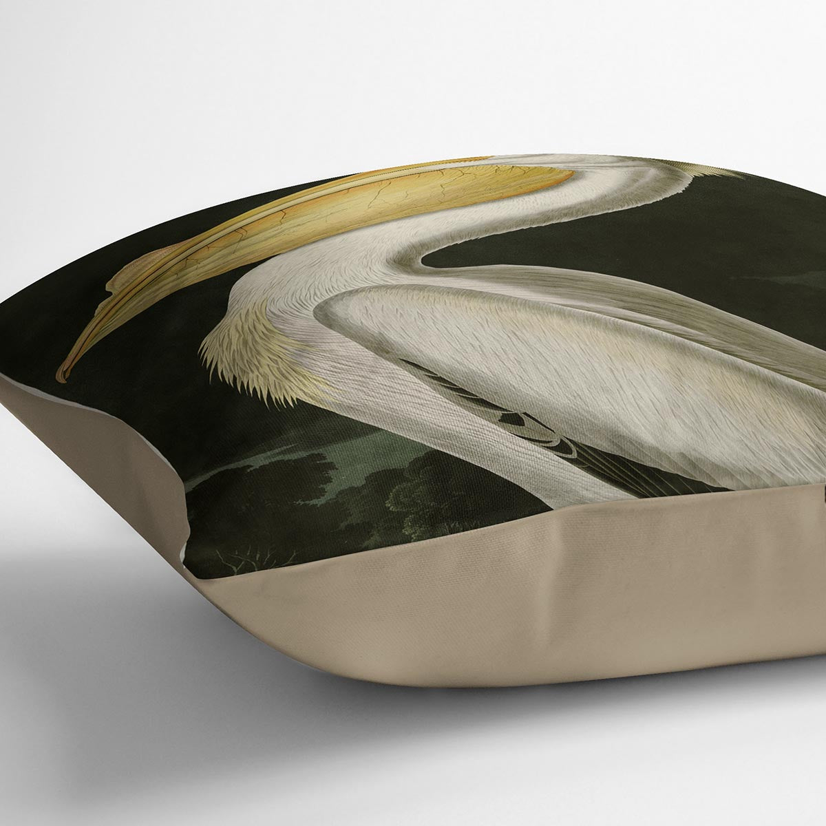 American White Pelican by Audubon Cushion